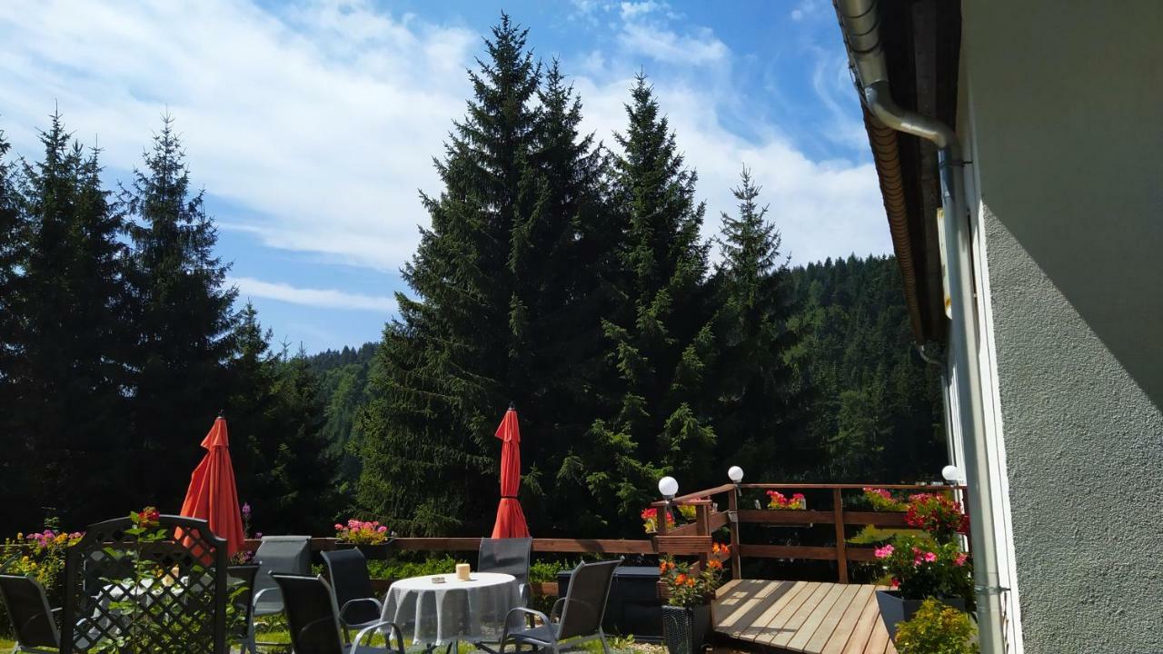 Greizer Kammhuette Gaststaette & Pension Klingenthal Εξωτερικό φωτογραφία
