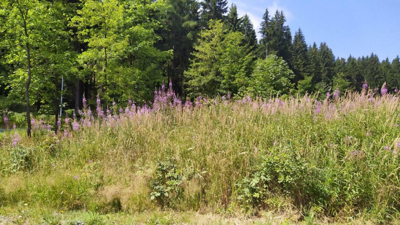 Greizer Kammhuette Gaststaette & Pension Klingenthal Εξωτερικό φωτογραφία